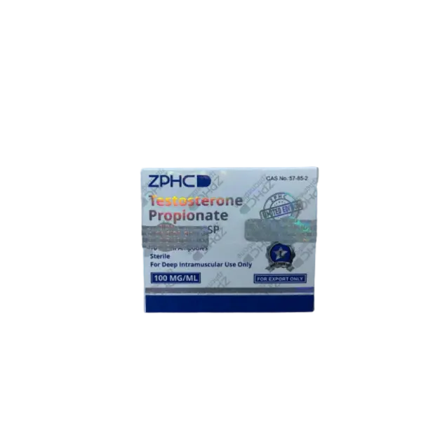 Testo-p.webp