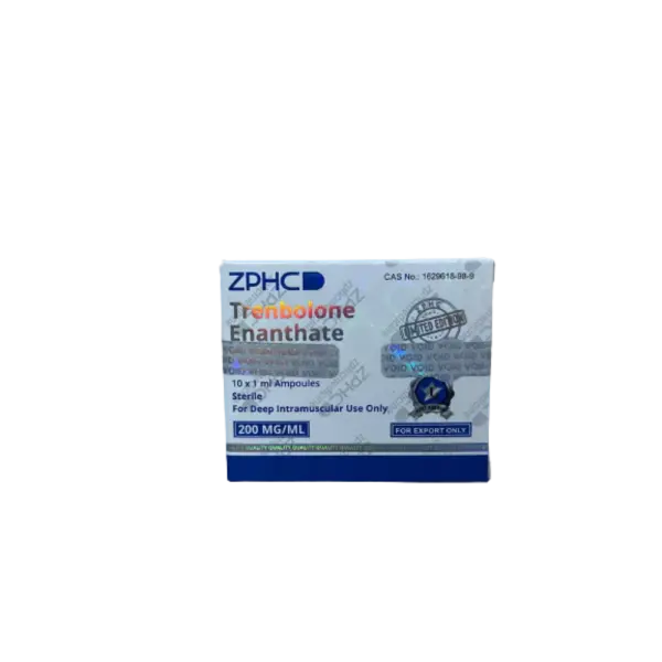 Tren-e.webp