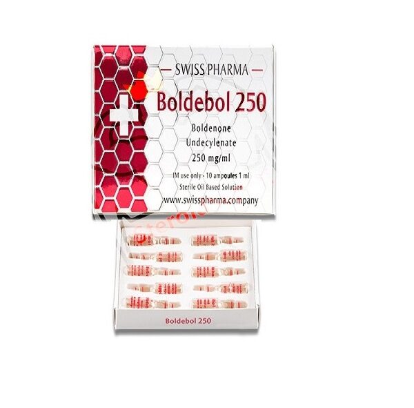 sbolde250-3.jpg