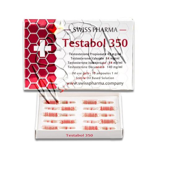 stesto350.jpg